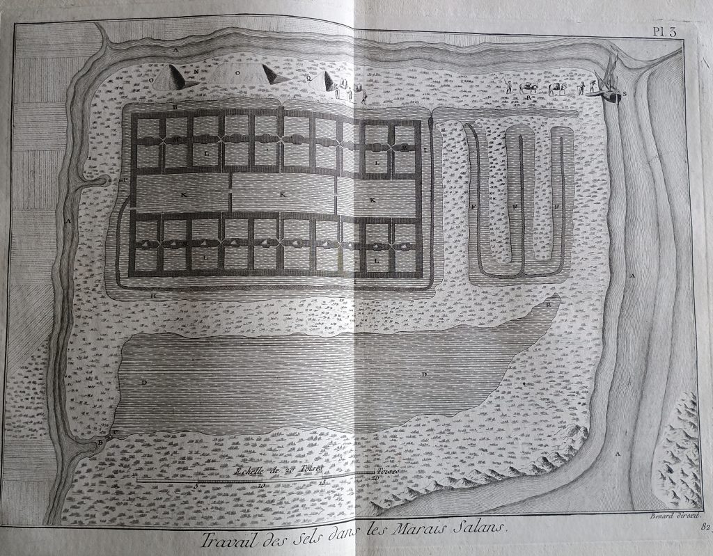 Arbeit in den Salzwiesen